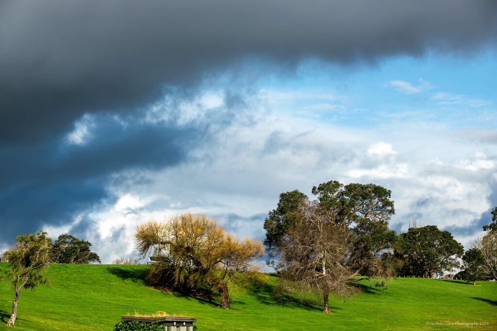 Storm Brewing by nickspicsnz