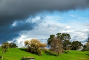 26th Aug 2024 - Storm Brewing