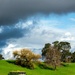 Storm Brewing by nickspicsnz