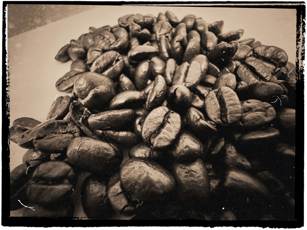 A hill of Beans - Hipstamatic and Nik filters by jeffjones