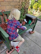 6th Sep 2024 - In Granny Cake's Garden