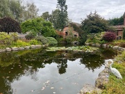 10th Sep 2024 - Pond