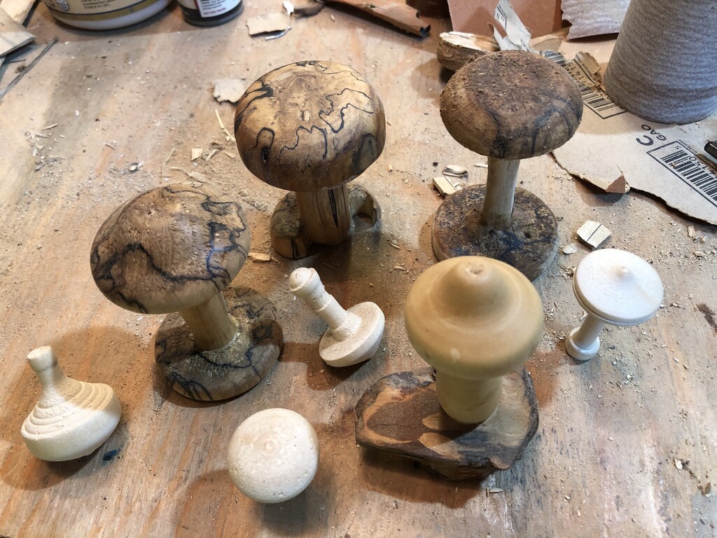 Wood Tops and Mushrooms  by dailypix