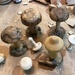 Wood Tops and Mushrooms  by dailypix