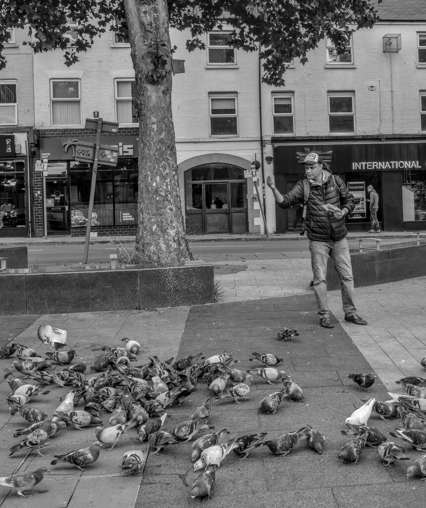 Feed The Birds ...Slightly More Than Tuppence a Bag  by phil_howcroft