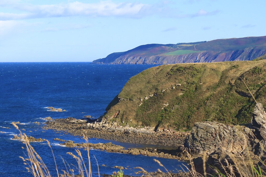 Looking south towards Peace Bay…. by neil_ge