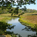 The View On The Trail