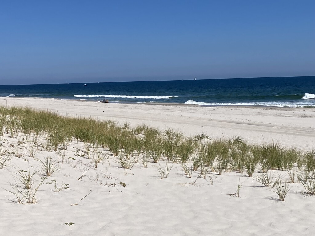 Island Beach State Park  by illinilass