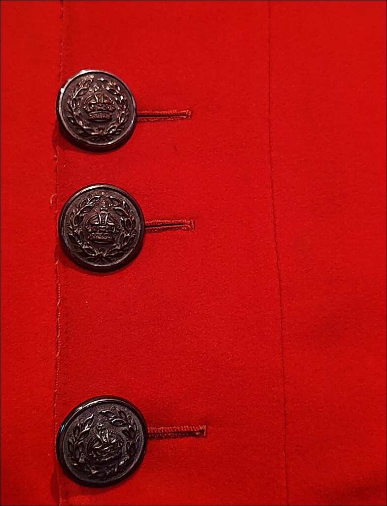 Three Buttons on Red by olivetreeann