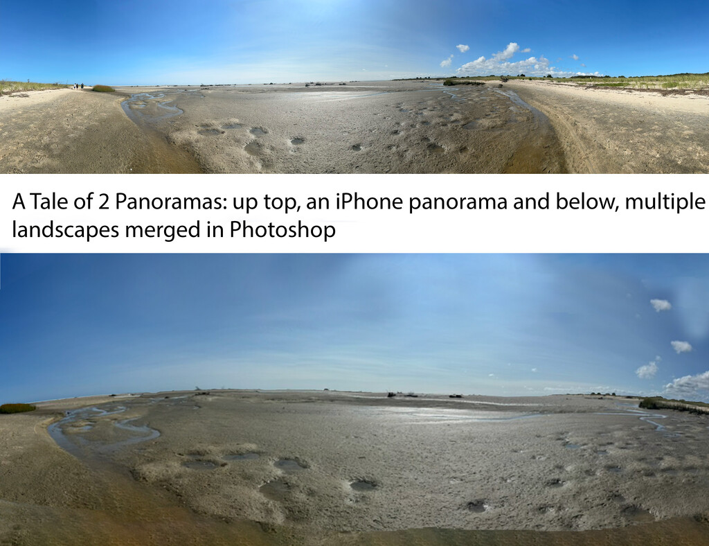 Comparison between an iPhone and Photoshop Panoramas by blackmutts