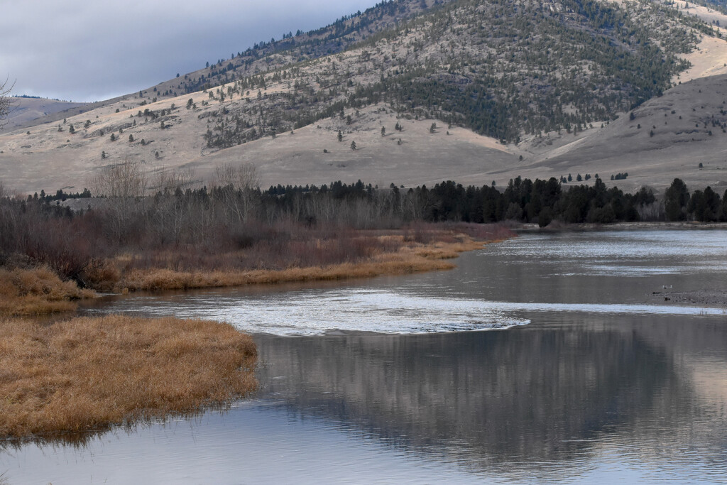 Flathead River Reflections by bjywamer