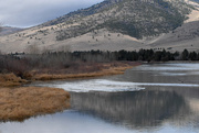 10th Sep 2024 - Flathead River Reflections