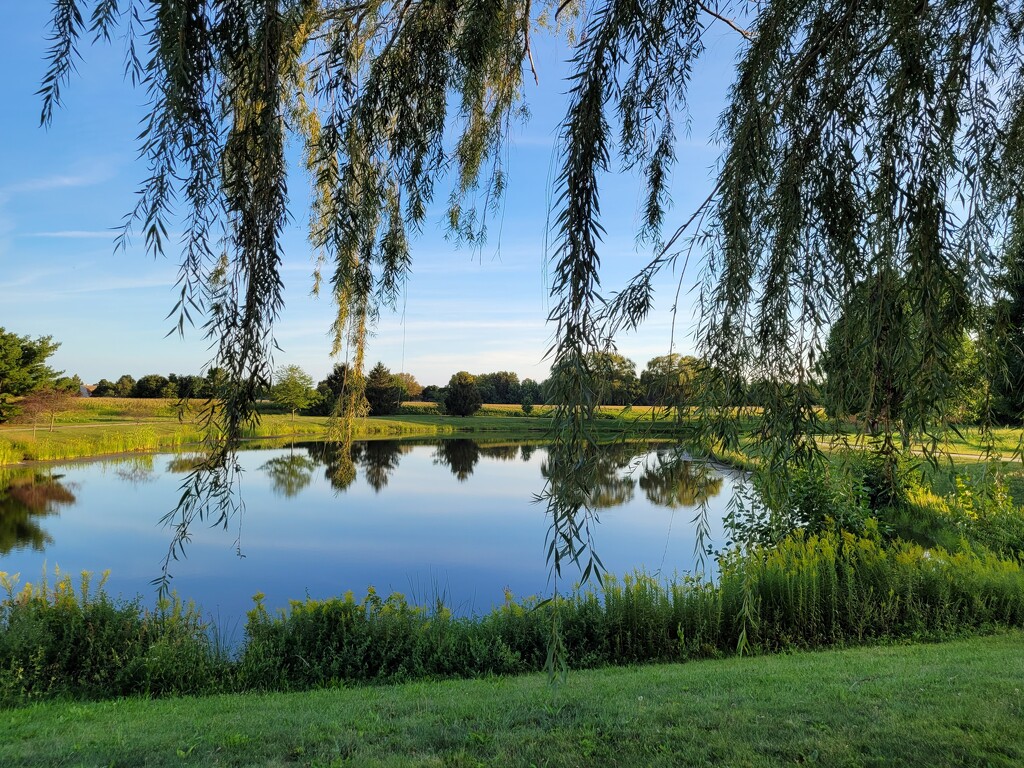 Serene pond by scoobylou