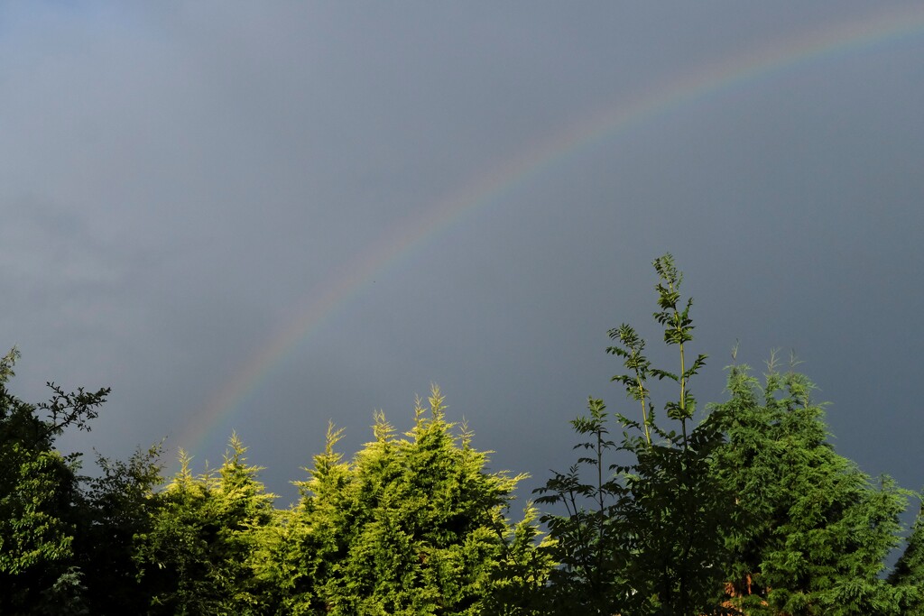 morning rainbow by kametty