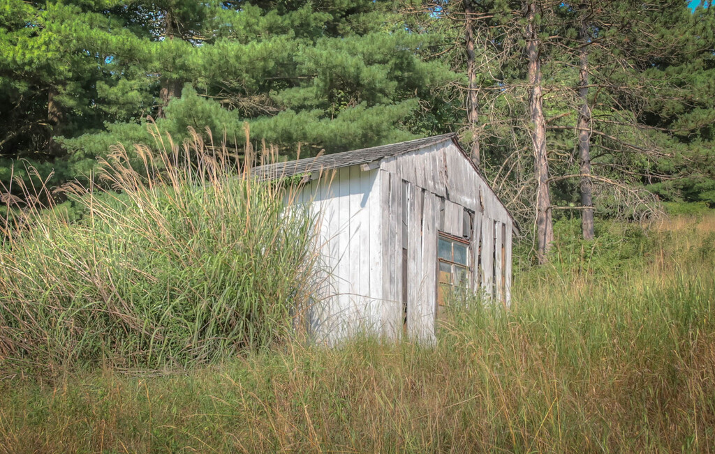 Shed by mittens