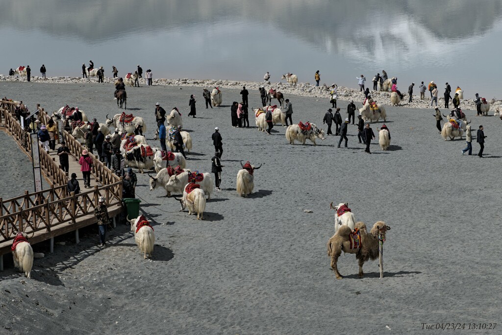 Scenes around Baisha Lake by wh2021