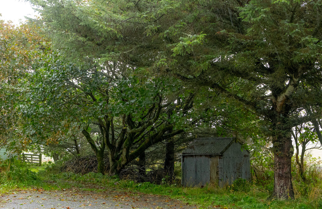 Sheltering by lifeat60degrees