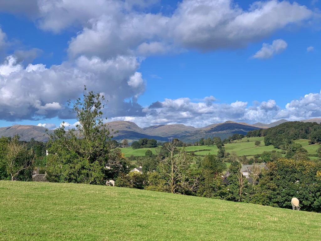 Above Hawkshead by happypat