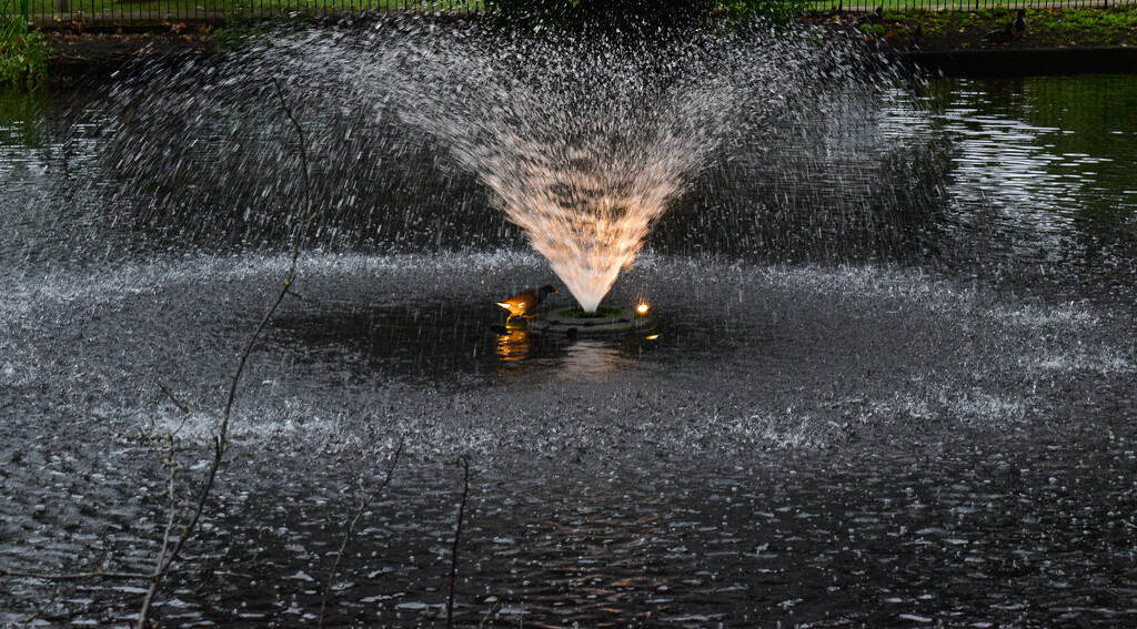 Walk in shower by tiaj1402