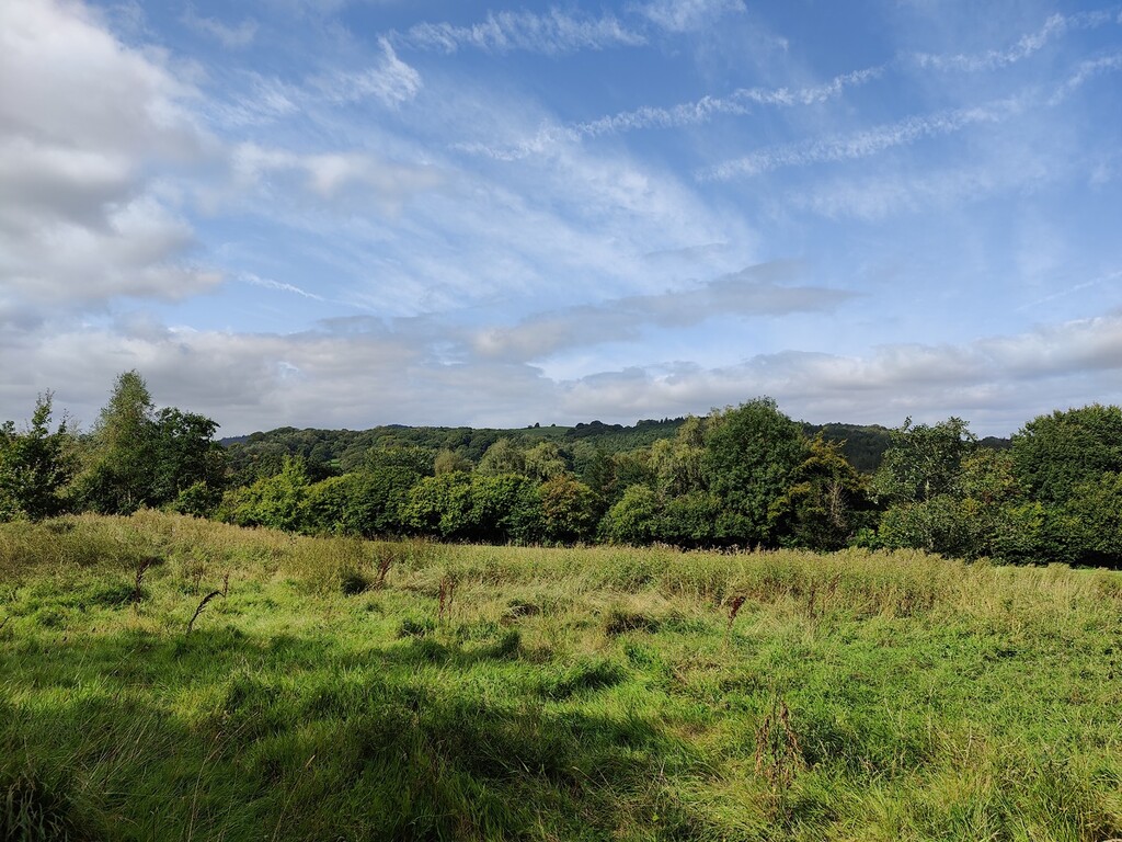 A view from his afternoon's walk by roachling