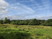 9th Sep 2024 - A view from his afternoon's walk