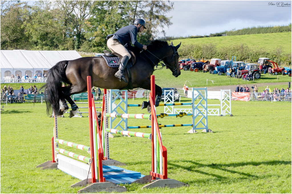 Cleared the Fence by pcoulson