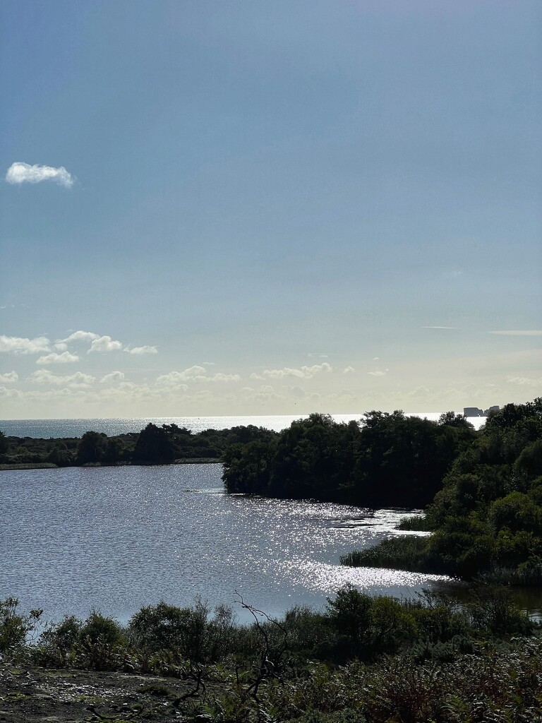 Studland by mattjcuk