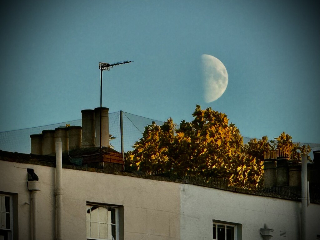 Half-moon by jmdeabreu