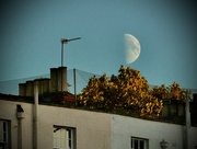 11th Sep 2024 - Half-moon