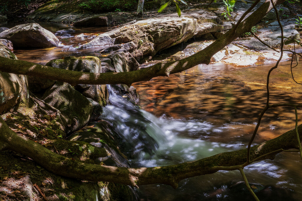 Mill Creek by kvphoto