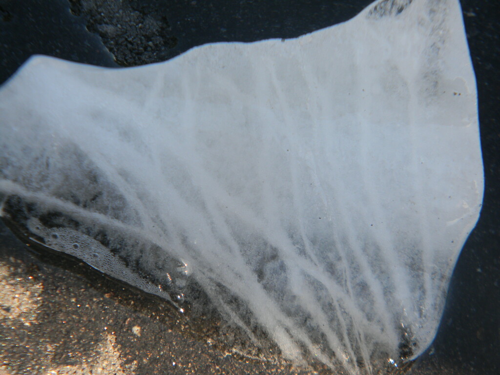 Ice in Parking Lot  by sfeldphotos