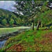 Hidden Lake Picnic Area