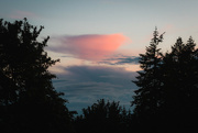 11th Sep 2024 - Cotton Candy Clouds, Framed by Trees