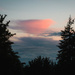 Cotton Candy Clouds, Framed by Trees by tina_mac