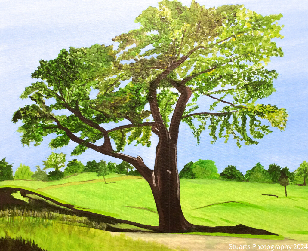 The fairway (painting) by stuart46