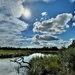 Tidal creek and late summer vlouds