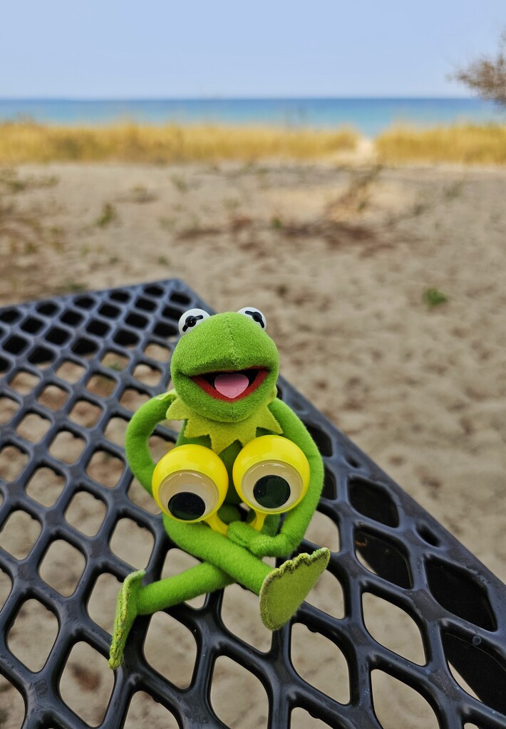 buddies on a picnic by edorreandresen