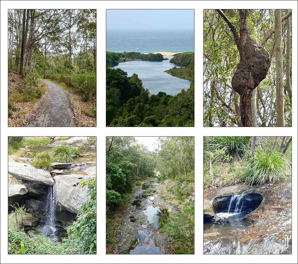 Glenrock Lagoon Collage by onewing