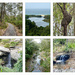 Glenrock Lagoon Collage by onewing