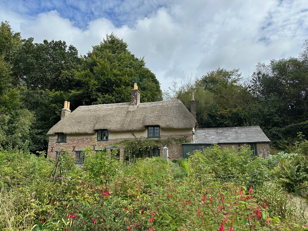 Thomas Hardy's Cottage by 365projectmaxine