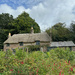 Thomas Hardy's Cottage