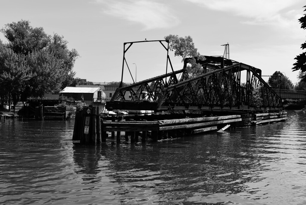 Swinging Bridge sooc by darchibald