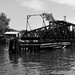 Swinging Bridge sooc by darchibald