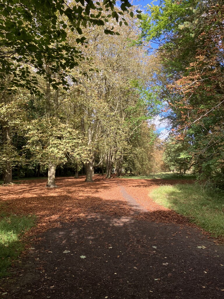 Anglesey Abbey  by g3xbm