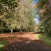 Anglesey Abbey 