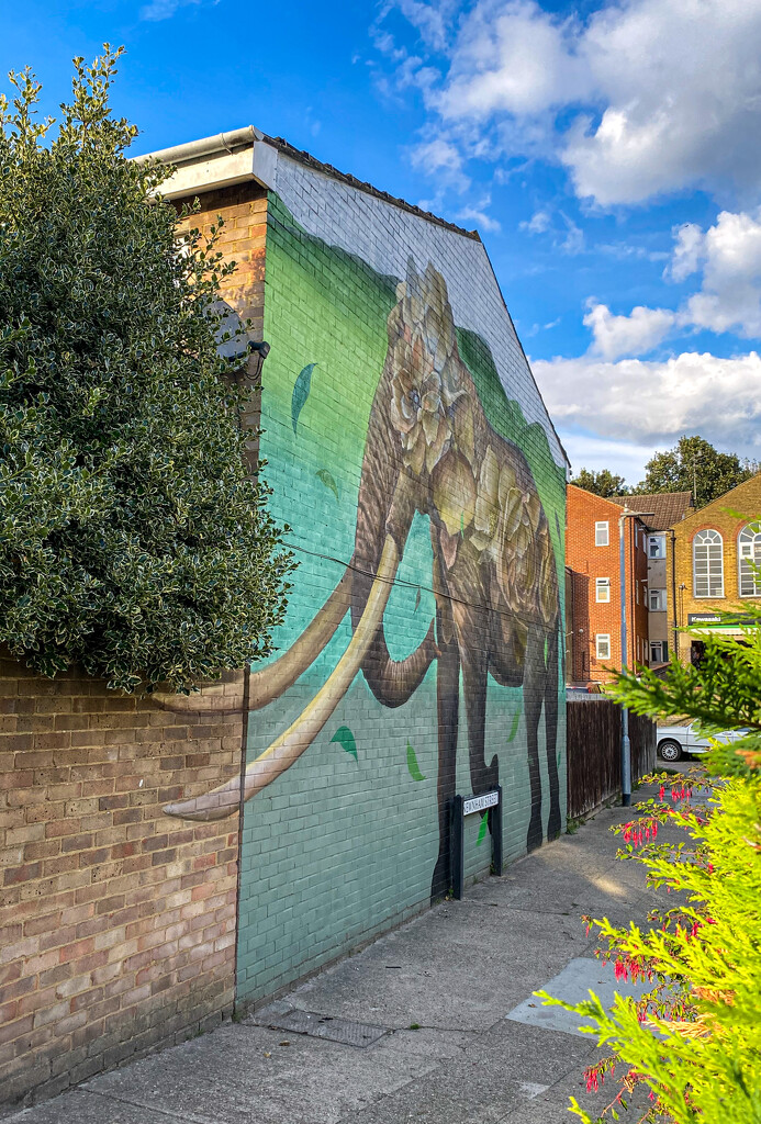 The Chatham Elephant  by tiaj1402