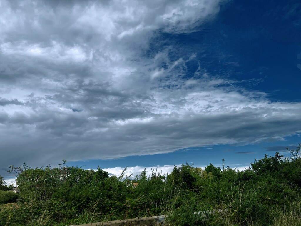 Stratocumulus Clouds by mattjcuk