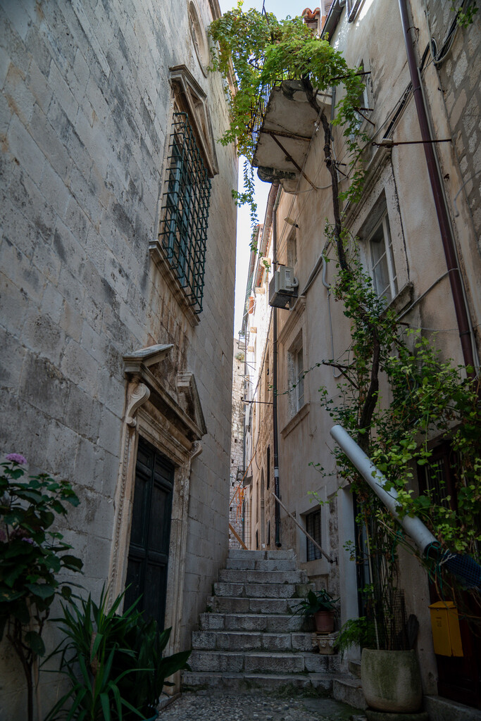 Dubrovnik Old Town Alley  by hannahcallier