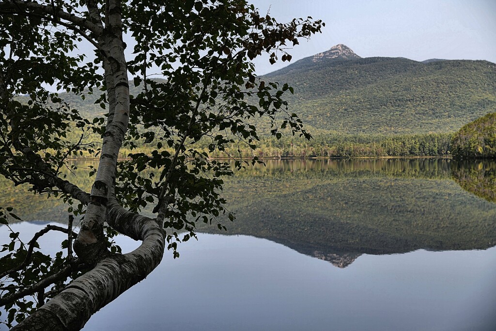 Chocorua On A Calm Day by paintdipper