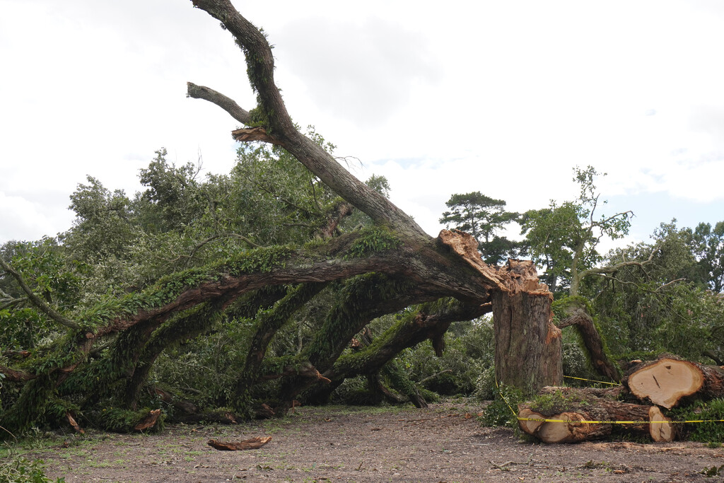 Hurricane damage by eudora